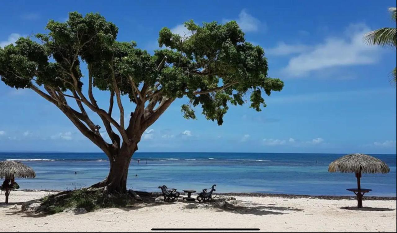 Le 35 Anse des Rochers Saint-François Extérieur photo